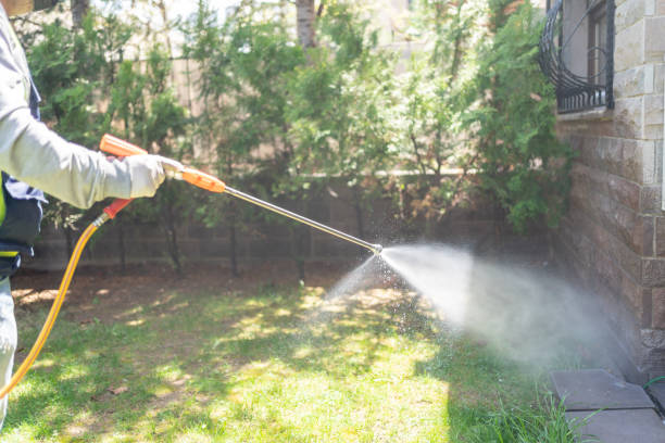 Wasp Removal Services in Cumberland, KY