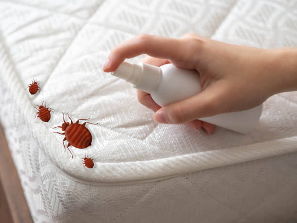 Best Pest Prevention Services  in Cumberland, KY