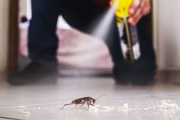 Best Emergency Pest Control  in Cumberland, KY